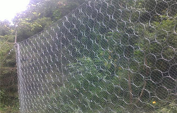 �����ܺܺõą^��߅�·��o�WƷ�|������?